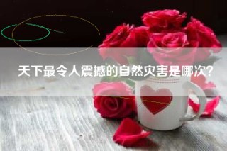 天下最令人震撼的自然灾害是哪次？