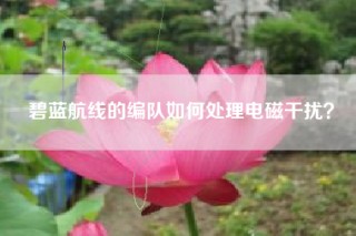 碧蓝航线的编队如何处理电磁干扰？