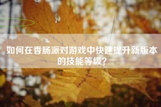 如何在香肠派对游戏中快速提升新版本的技能等级？