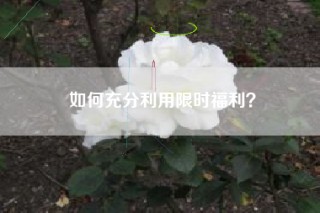 如何充分利用限时福利？