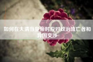 如何在大清当皇帝时应对政治流亡者和异国交涉