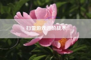 扫雷游戏进阶战术