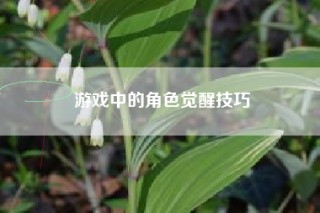 游戏中的角色觉醒技巧