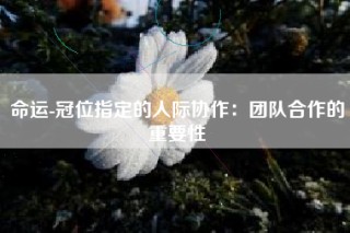 命运-冠位指定的人际协作：团队合作的重要性