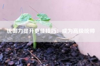 统御力提升更佳技巧：成为高级统帅
