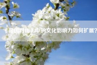 《帝国时代》中的文化影响力如何扩展？