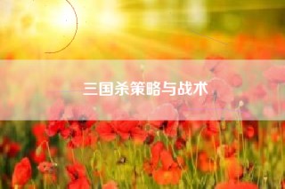 三国杀策略与战术