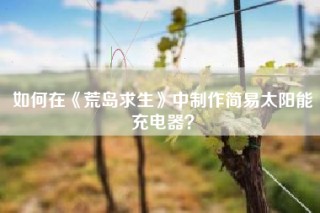 如何在《荒岛求生》中制作简易太阳能充电器？