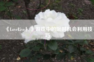 《LoveLive！》游戏中的限时机会利用技巧
