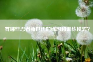 有哪些忍者新世代的练习和训练模式？