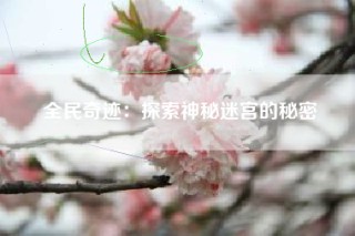 全民奇迹：探索神秘迷宫的秘密