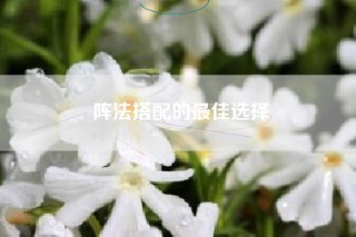 阵法搭配的最佳选择