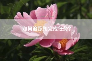如何追踪和完成任务？