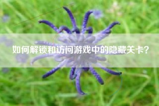 如何解锁和访问游戏中的隐藏关卡？