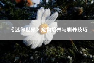 《迷你世界》宠物培养与驯养技巧