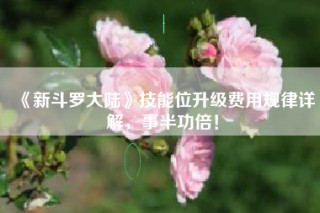 《新斗罗大陆》技能位升级费用规律详解，事半功倍！