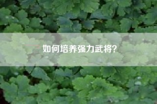 如何培养强力武将？