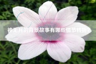 神无月的背景故事有哪些情节转折？