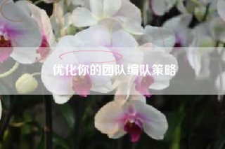 优化你的团队编队策略