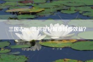 三国志2017如何提升城市经济效益？