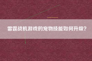 雷霆战机游戏的宠物技能如何升级？