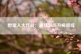 野蛮人大作战：最佳队伍升级路线
