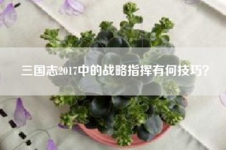 三国志2017中的战略指挥有何技巧？