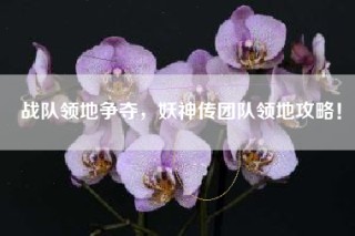 战队领地争夺，妖神传团队领地攻略！