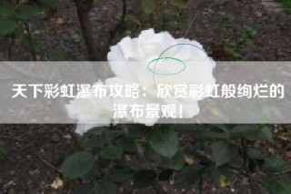 天下彩虹瀑布攻略：欣赏彩虹般绚烂的瀑布景观！