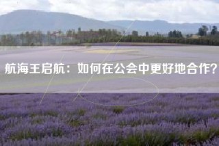 航海王启航：如何在公会中更好地合作？