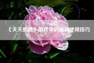 《天天酷跑》游戏中的道具使用技巧