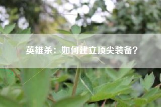 英雄杀：如何建立顶尖装备？