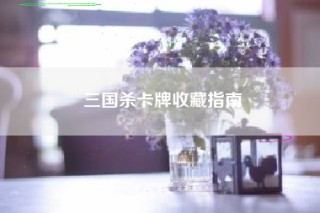 三国杀卡牌收藏指南