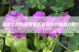 英魂之刃的英雄是否有独特的载具技能？