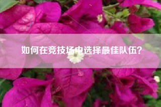 如何在竞技场中选择最佳队伍？