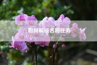 如何解锁名将任务