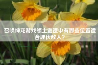 召唤神龙游戏领土巡逻中有哪些位置适合埋伏敌人？