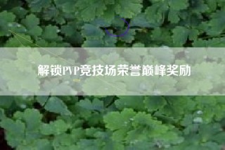 解锁PVP竞技场荣誉巅峰奖励