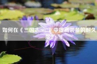 如何在《三国志2017》中提高装备的耐久度？