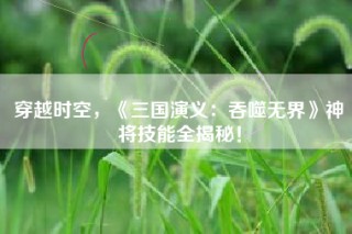 穿越时空，《三国演义：吞噬无界》神将技能全揭秘！