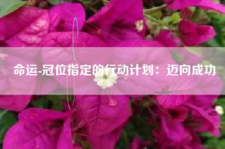 命运-冠位指定的行动计划：迈向成功