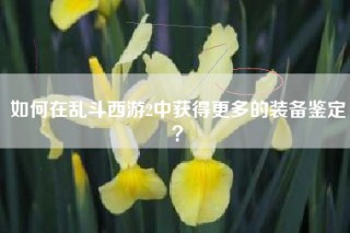 如何在乱斗西游2中获得更多的装备鉴定？