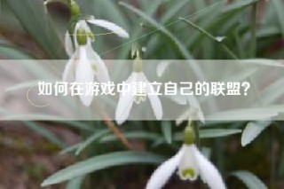 如何在游戏中建立自己的联盟？