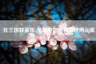 在三国群英传-争霸中如何有效使用元宝？