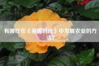 有哪些在《帝国时代》中发展农业的方法？