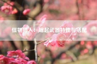 怪物猎人：崛起武器特性与搭配