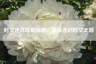 时空迷宫攻略探秘：冒险者的时空之路