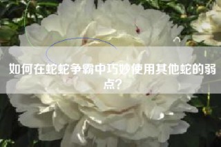 如何在蛇蛇争霸中巧妙使用其他蛇的弱点？
