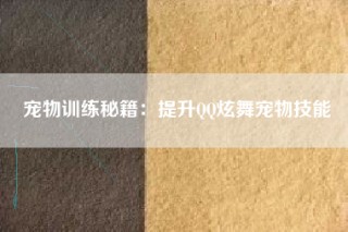 宠物训练秘籍：提升QQ炫舞宠物技能