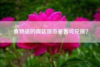 食物语的商店货币是否可兑换？